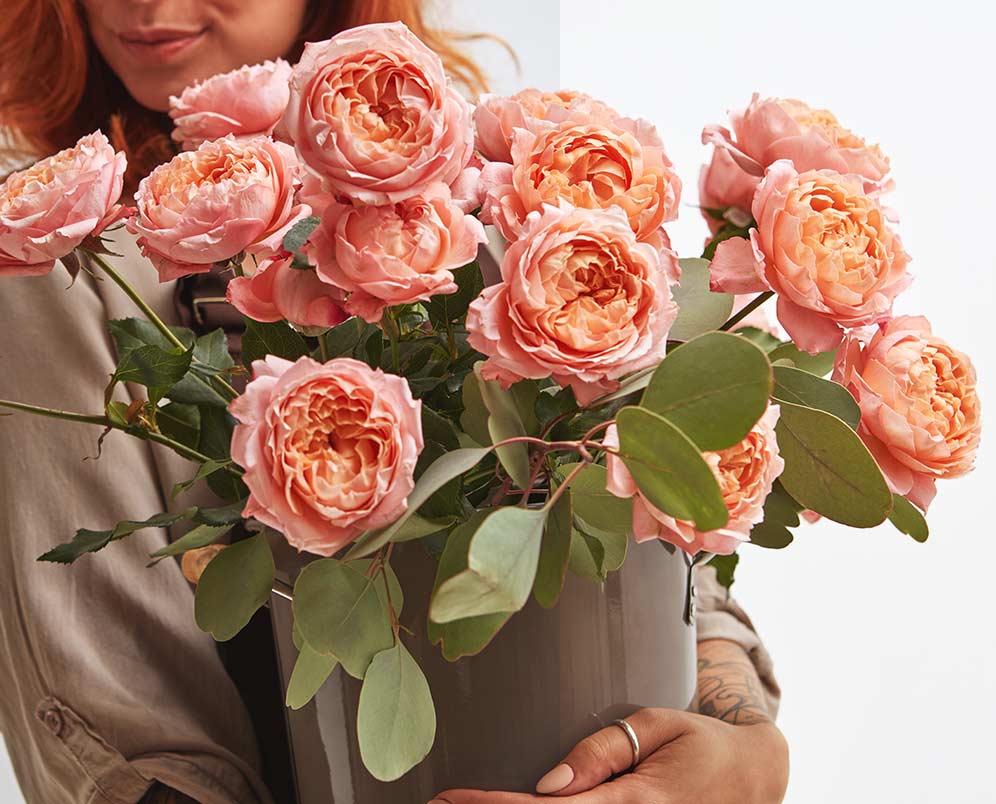 layout-module-14-image