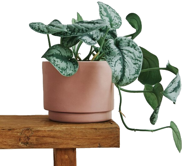 layout-module-7-image-4