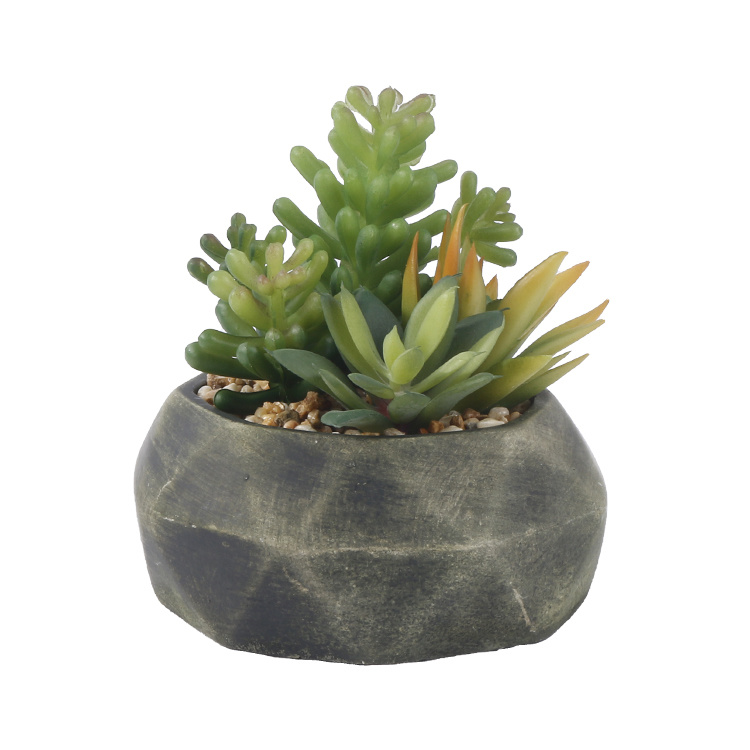 Potted-Succulent-Arrangement-Plants-Artificial-Succulents-Home-Decoration.jpg