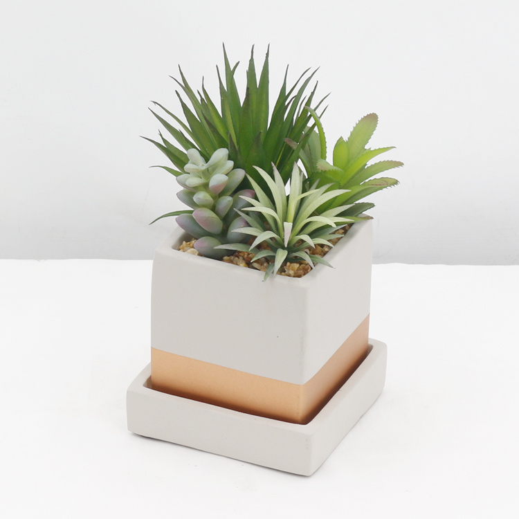 Ornamental-Evergreen-Indoor-Desktop-Decoration-Artificial-Succulent-Small-Succulent-Plant-with-Pot.jpg