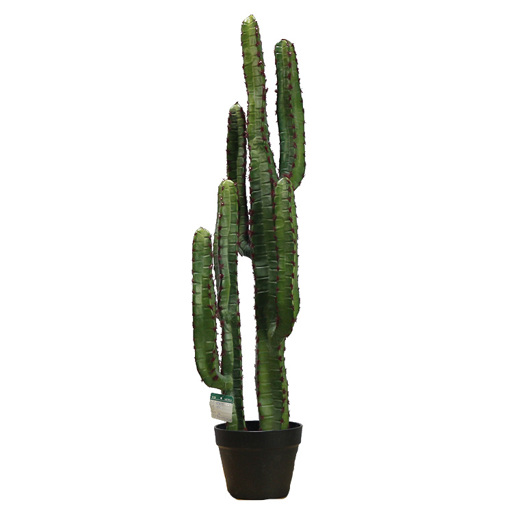 New-Style-Plastic-Saguaro-Cactus-Buy-Artificial-Cactus-Plant-at-Toronto-Cactus-and-Succulent-Club.jpg 