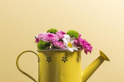 flowers-in-yellow-watering-can_373x_2x.progressive.jpg