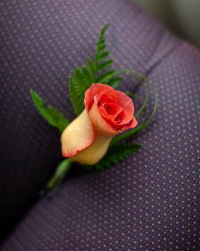 flower-rose_CYBNVPEUC5.jpg