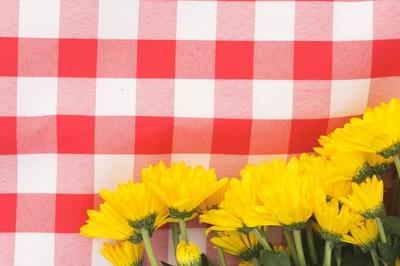 yellow-flowers-on-picnic-blanket_373x_2x.progressive.jpg