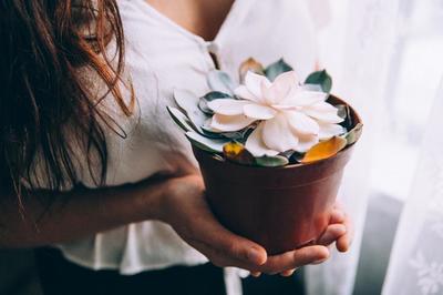 young-woman-holds-potted-flower.jpg