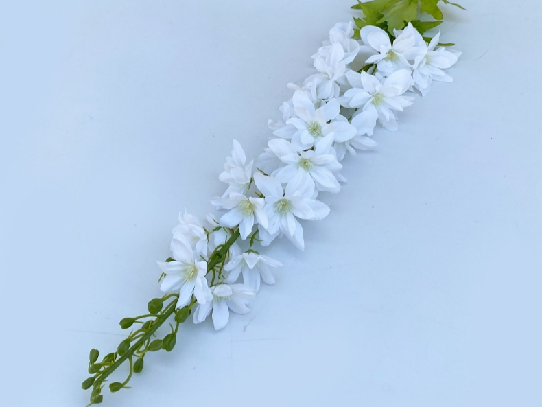 360albumviewer_imgproc_734936968