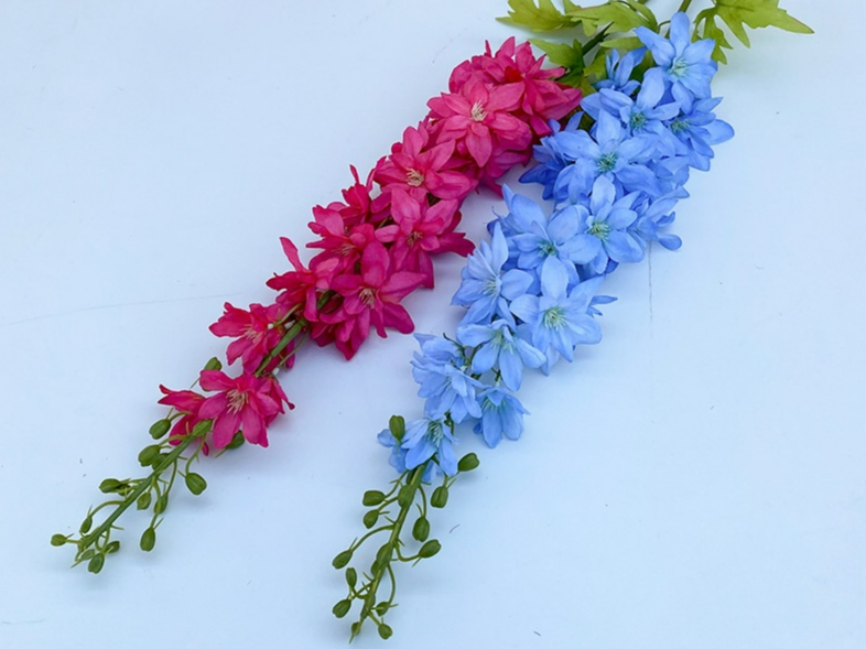 360albumviewer_imgproc_735133890