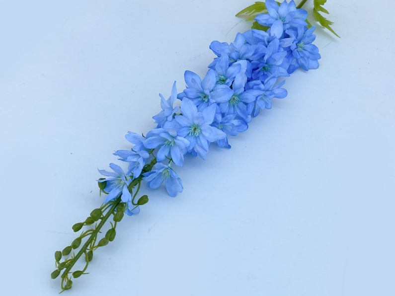 360albumviewer_imgproc_734971171